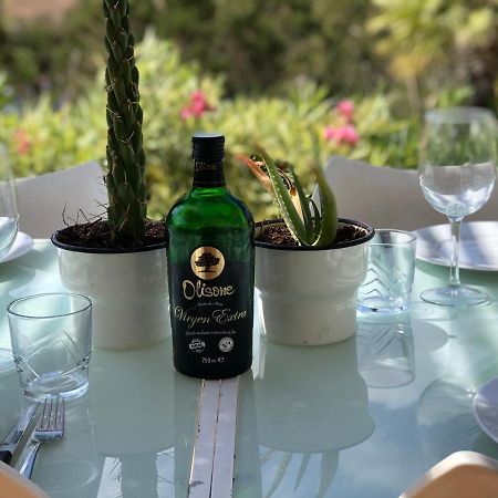 Micasa Ibiza Villa San Antonio  Eksteriør billede