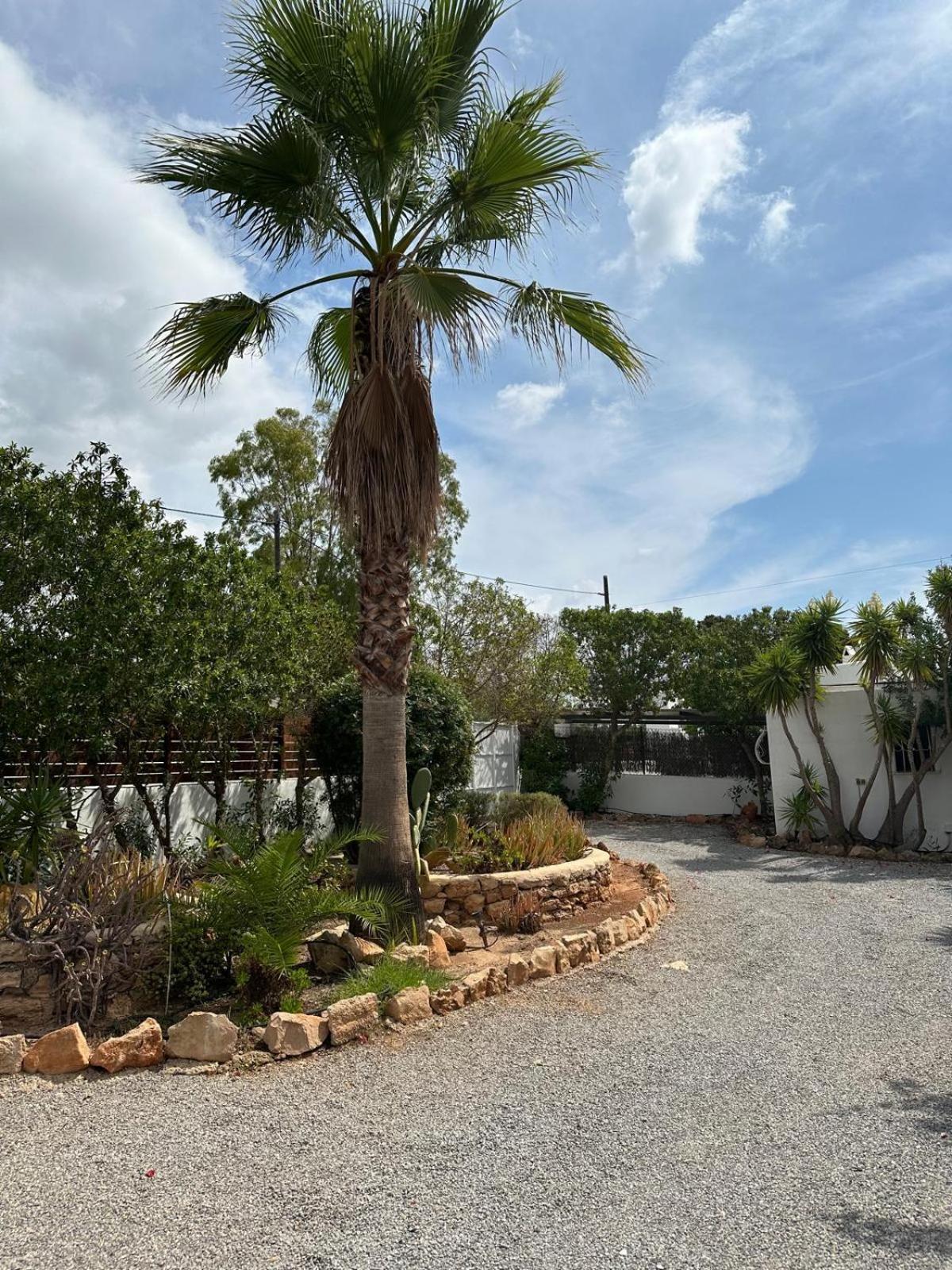 Micasa Ibiza Villa San Antonio  Eksteriør billede
