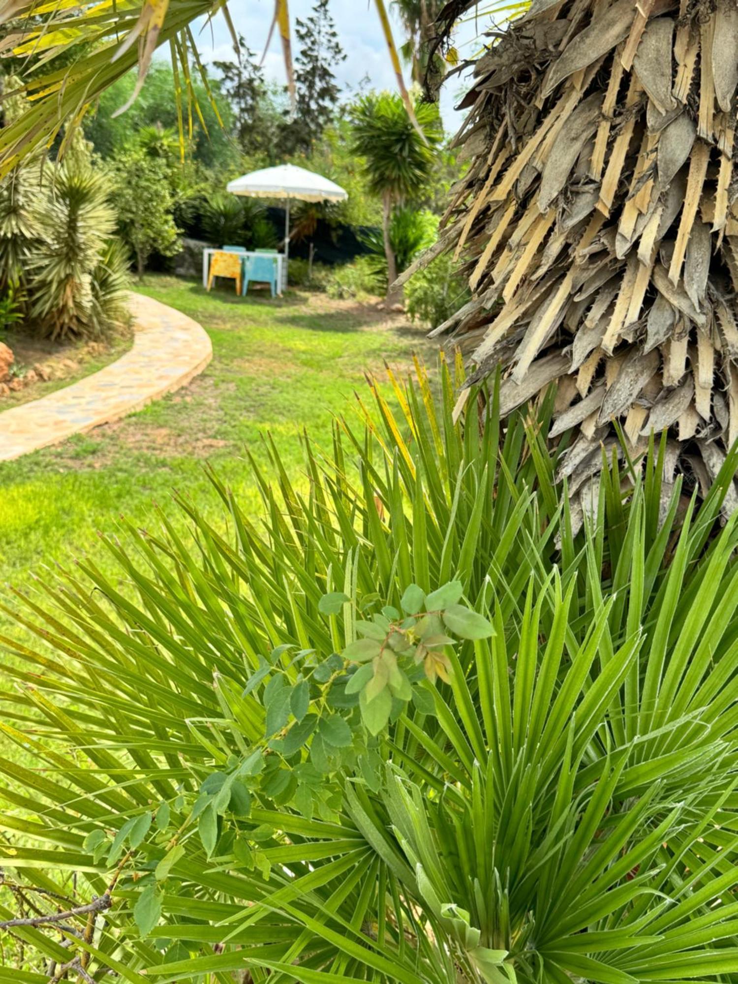 Micasa Ibiza Villa San Antonio  Eksteriør billede