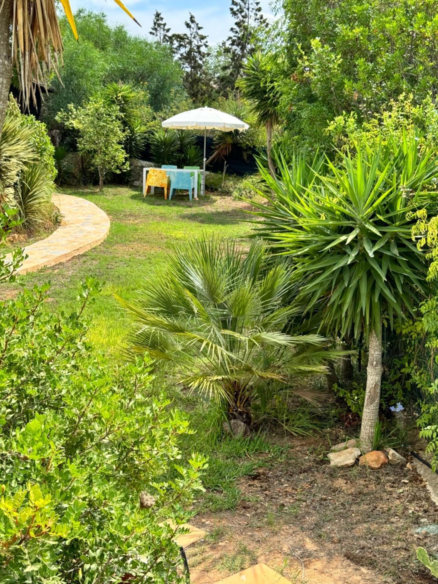 Micasa Ibiza Villa San Antonio  Eksteriør billede