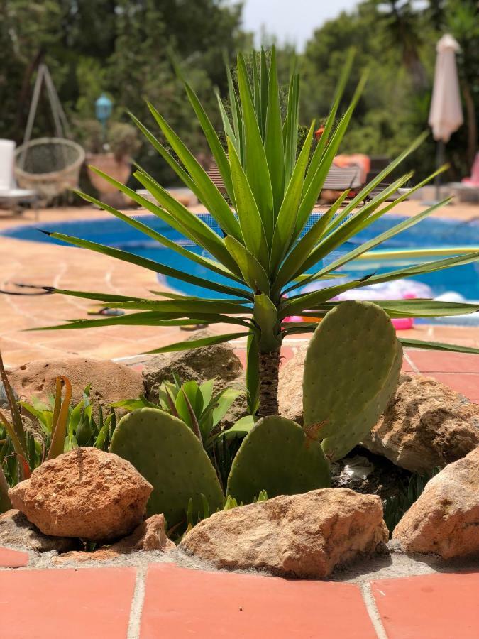 Micasa Ibiza Villa San Antonio  Eksteriør billede